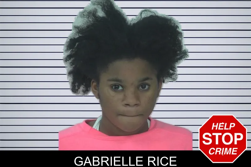 Gabrielle Rice mugshot – Fayette County , Georgia Gabrielle Rice mugshot