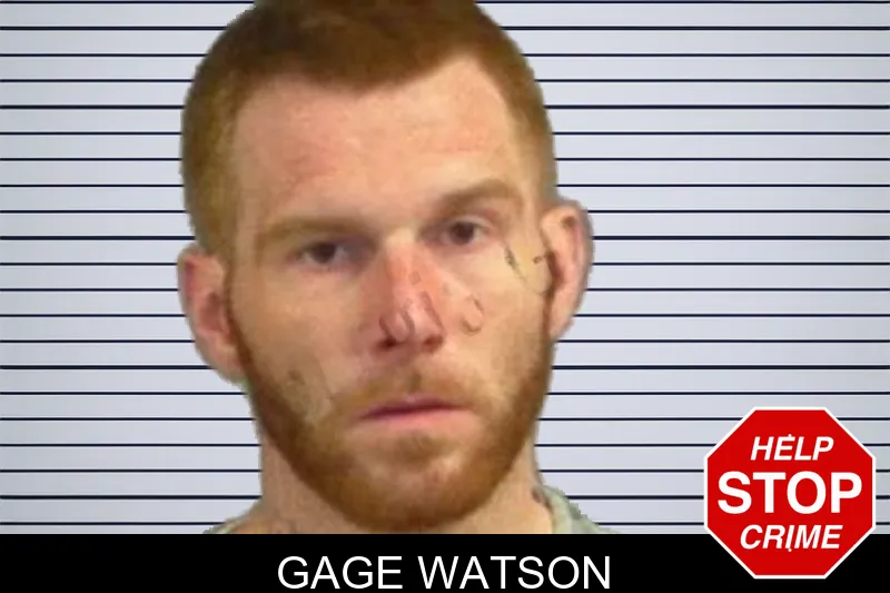 Gage Watson mugshot