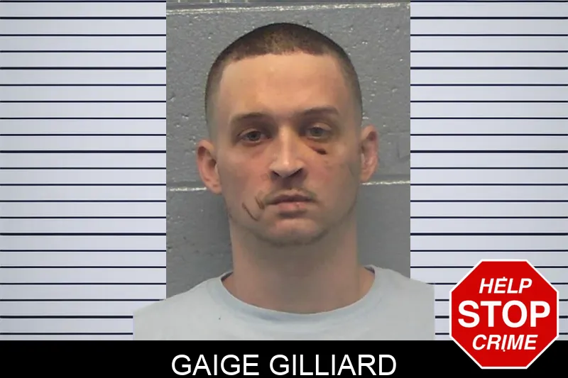 Gaige Gilliard mugshot