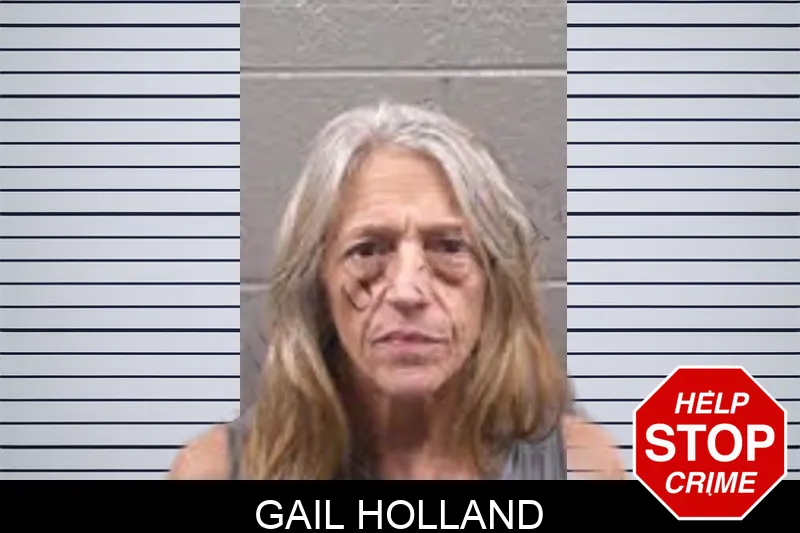 Gail Holland mugshot