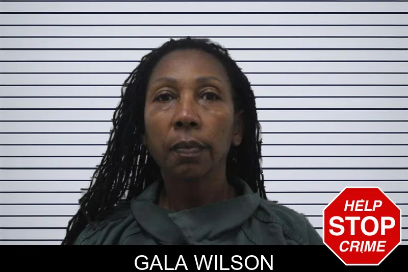 Gala Wilson mugshot