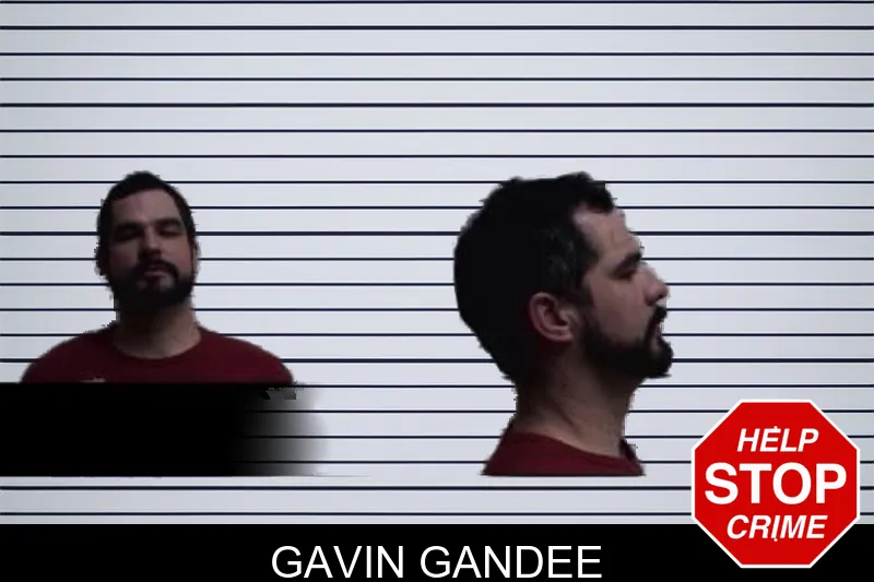 Gavin Gandee mugshot