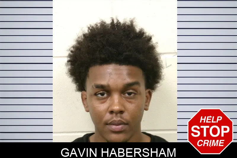 Gavin Habersham mugshot