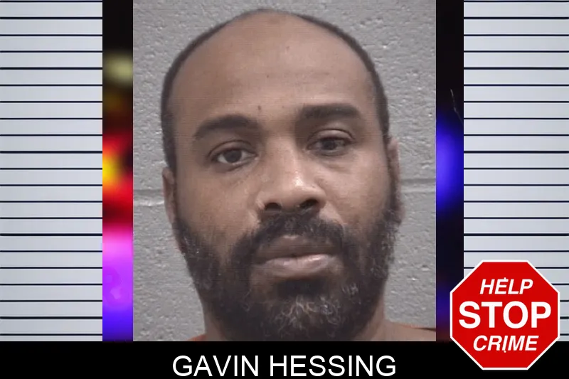 Gavin Hessing mugshot