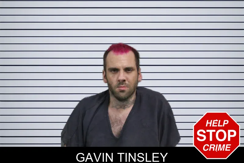 Gavin Tinsley mugshot