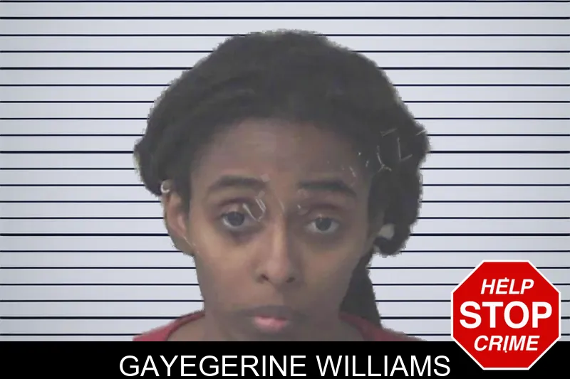 Gayegerine Williams mugshot