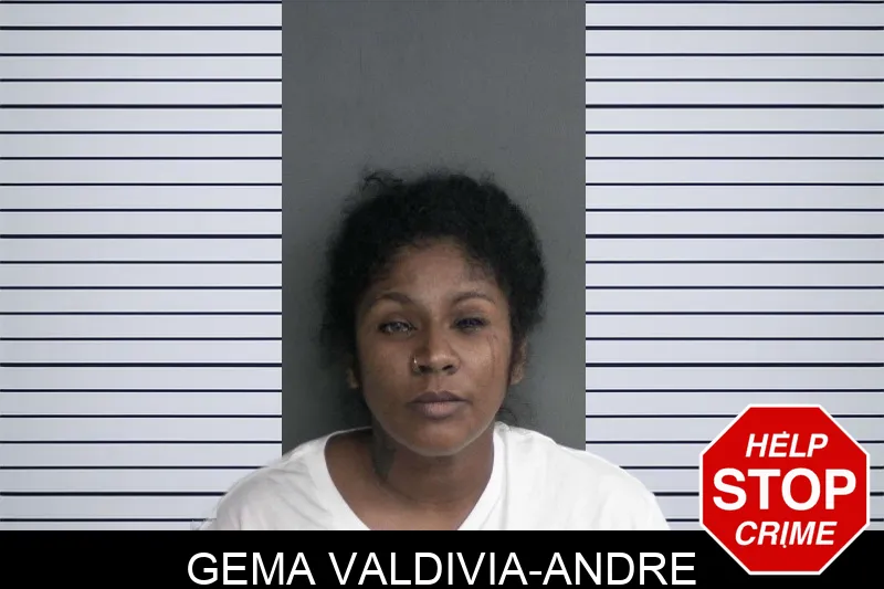 Gema Valdivia-Andre mugshot – Twiggs County , Georgia Gema Valdivia-Andre mugshot