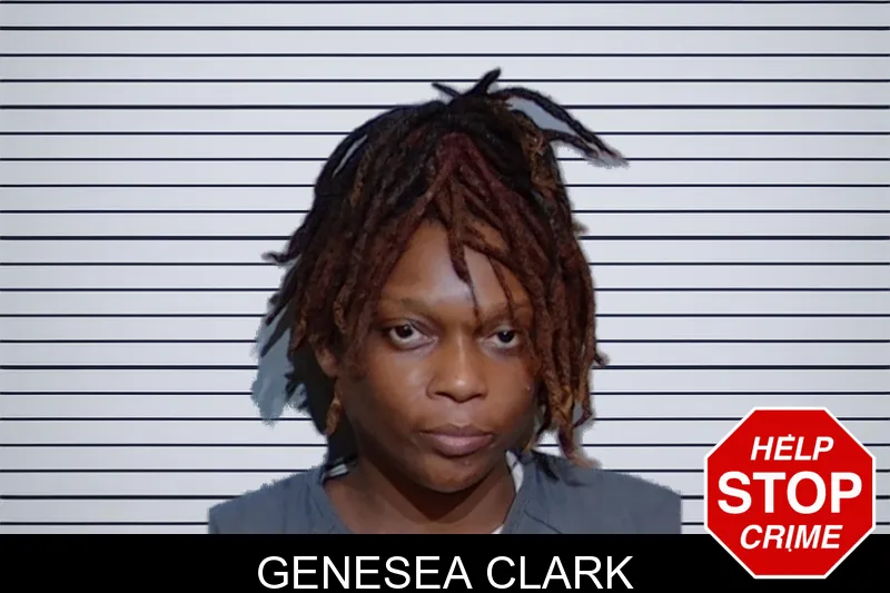 Genesea Clark mugshot – Glynn County , Georgia Genesea Clark mugshot