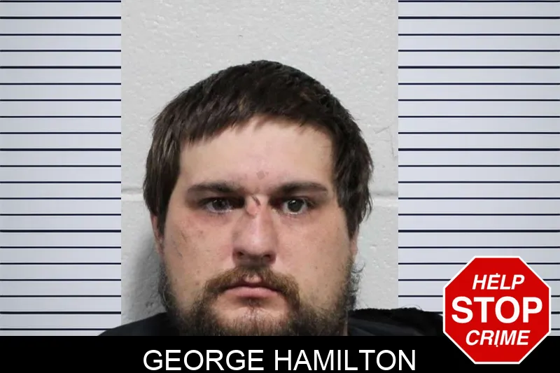 George Hamilton mugshot – Habersham County , Georgia George Hamilton mugshot