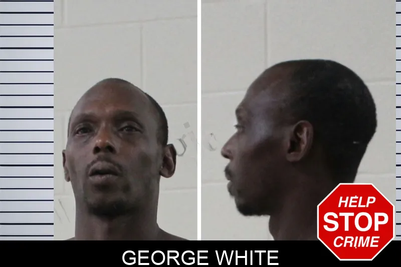 George White mugshot – Houston County , Georgia George White mugshot