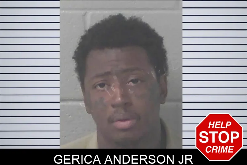 Gerica Anderson Jr mugshot