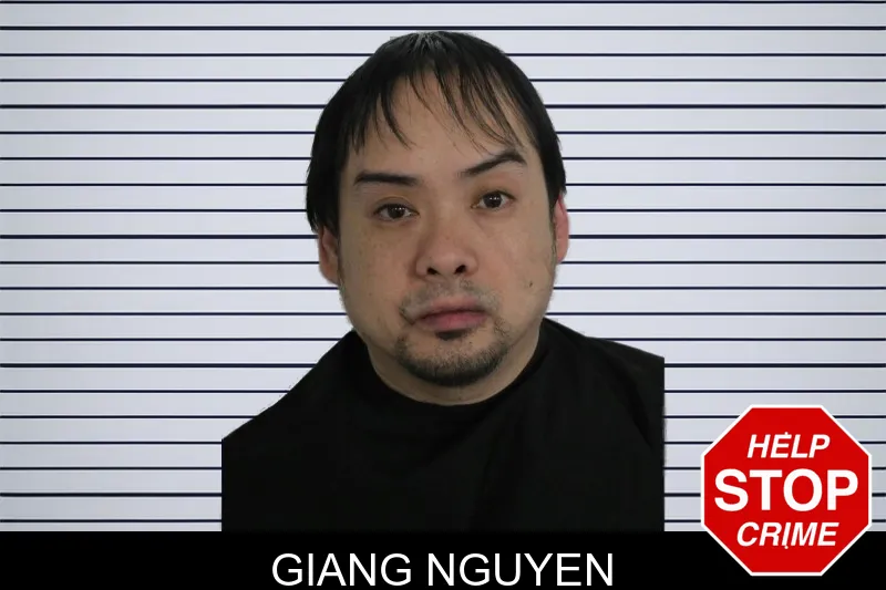 Giang Nguyen mugshot