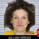 Gillian Green mugshot – Cobb County , Georgia Gillian Green mugshot