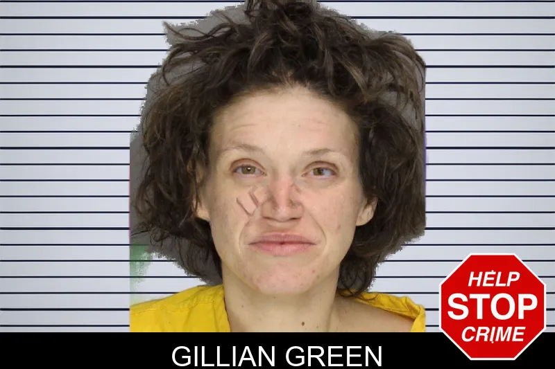 Gillian Green mugshot – Cobb County , Georgia Gillian Green mugshot
