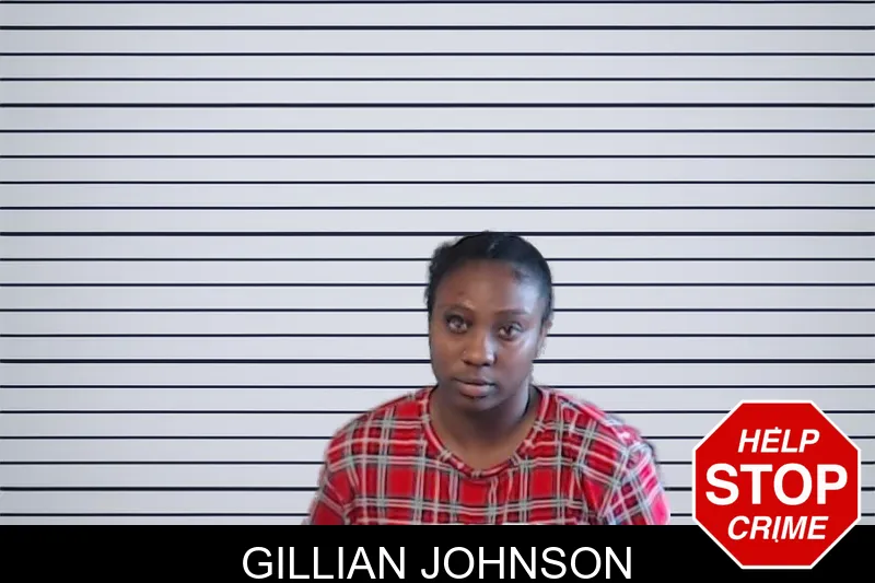 Gillian Johnson mugshot