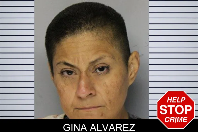 Gina Alvarez mugshot