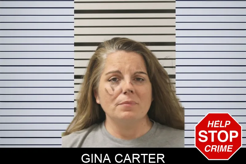 Gina Carter mugshot