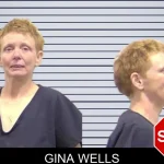 Gina Wells mugshot