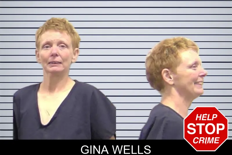 Gina Wells mugshot