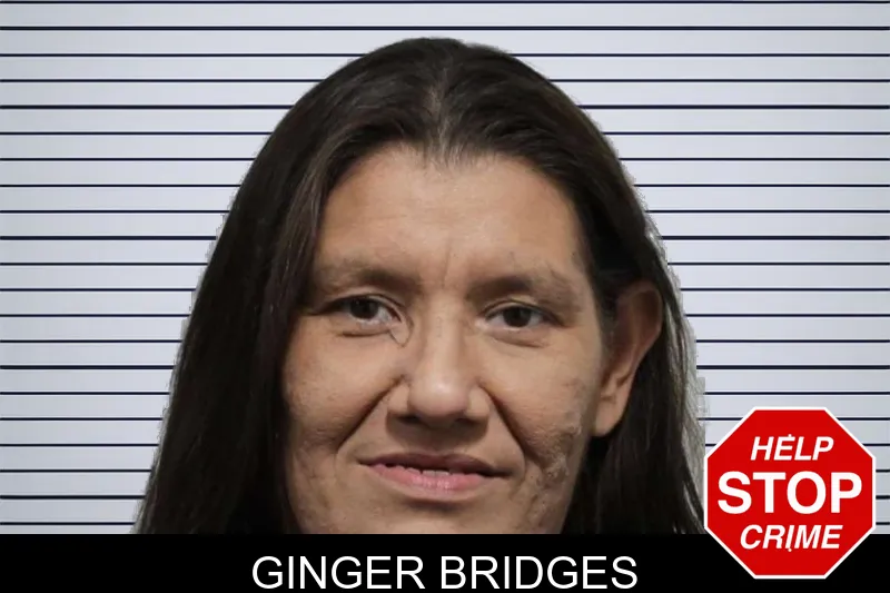 Ginger Bridges mugshot – Habersham County , Georgia Ginger Bridges mugshot