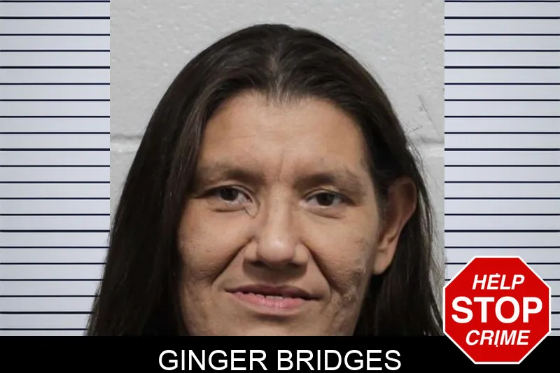 Ginger Bridges mugshot