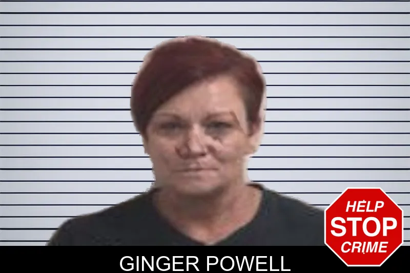 Ginger Powell mugshot – Henry County , Georgia Ginger Powell mugshot