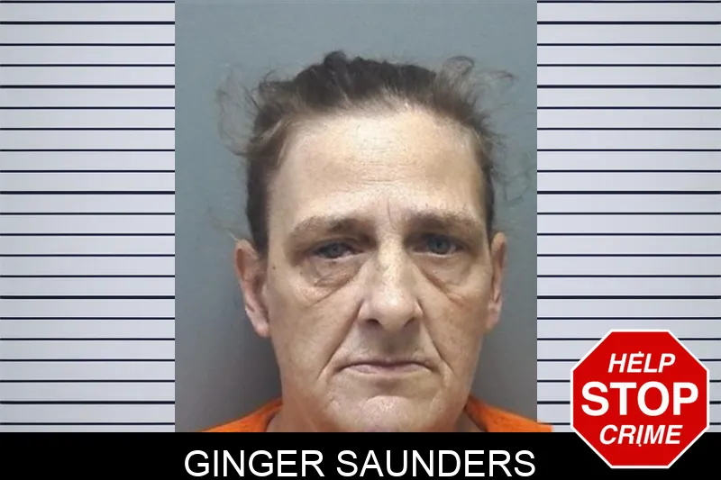 Ginger Saunders mugshot – Cherokee County , Georgia Ginger Saunders mugshot