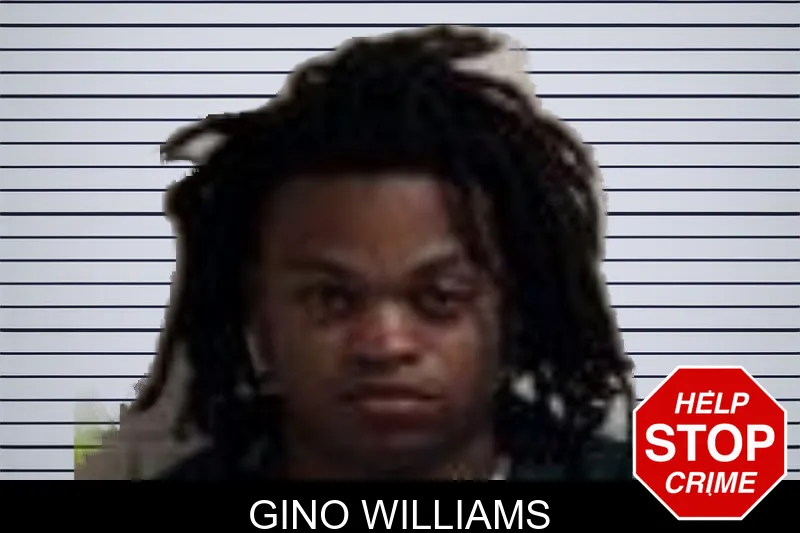 Gino Williams mugshot