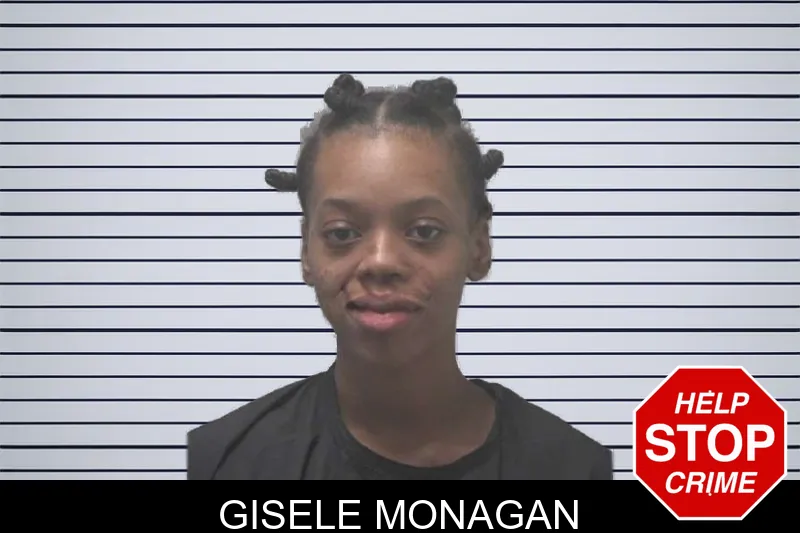 Gisele Monagan mugshot – Coweta County , Georgia Gisele Monagan mugshot