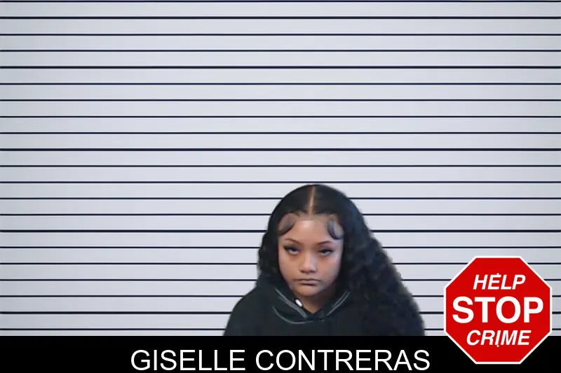 Giselle Contreras mugshot – DeKalb County , Georgia Giselle Contreras mugshot
