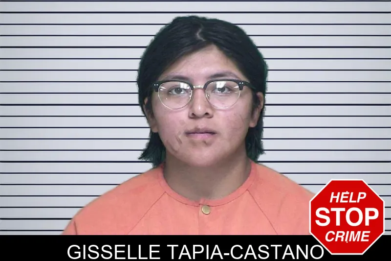 Gisselle Tapia-Castano mugshot