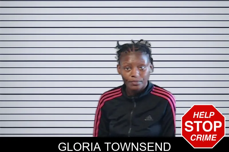 Gloria Townsend mugshot – DeKalb County , Georgia Gloria Townsend mugshot