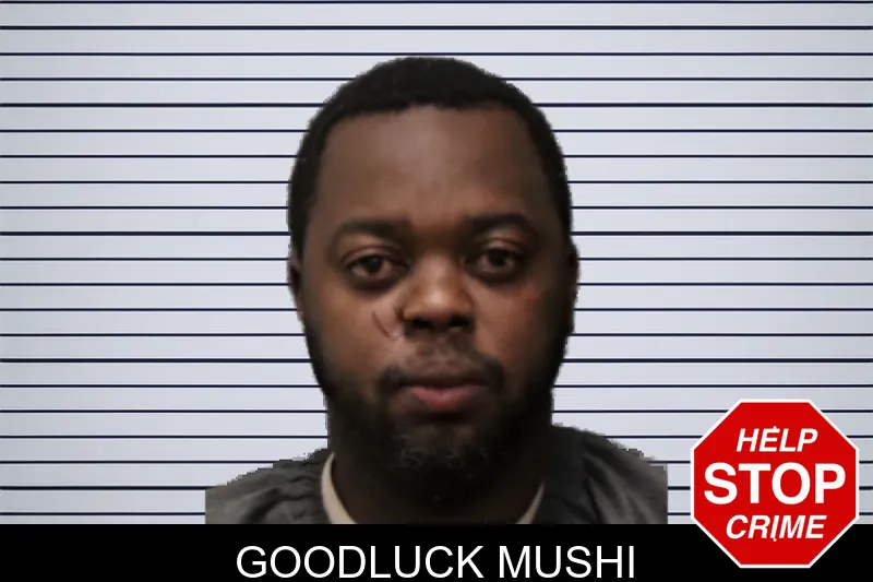 Goodluck Mushi mugshot – Forsyth County , Georgia Goodluck Mushi mugshot
