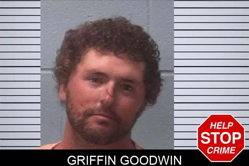 Griffin Goodwin mugshot – Franklin County , Georgia Griffin Goodwin mugshot