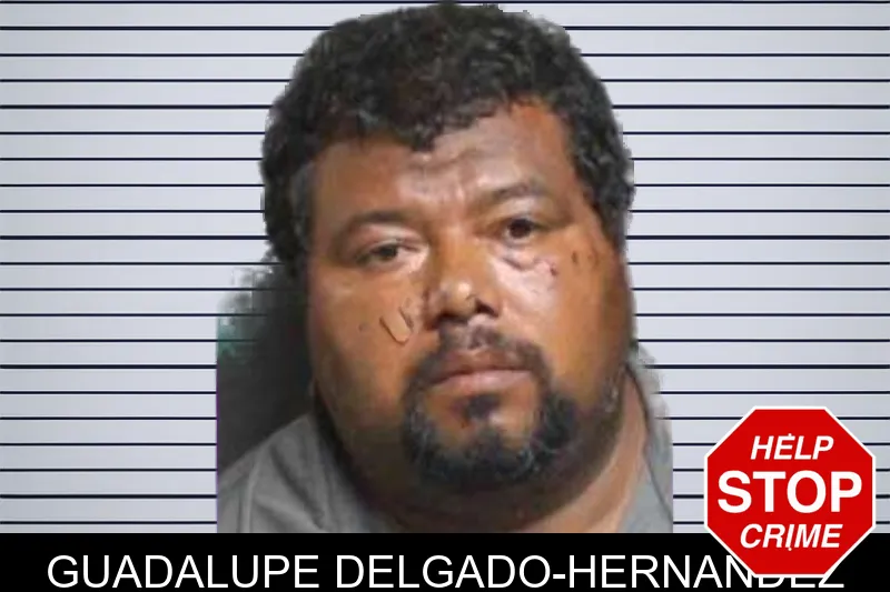 Guadalupe Delgado-Hernandez mugshot