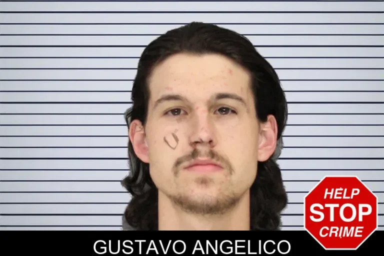 Gustavo Angelico mugshot – Cobb County , Georgia Gustavo Angelico