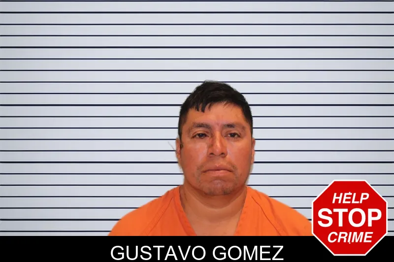 Gustavo Gomez mugshot