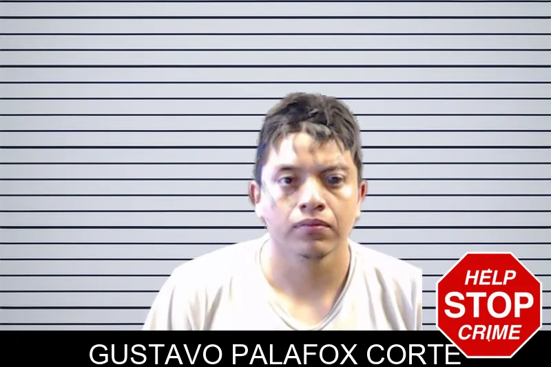 Gustavo Palafox Corte mugshot