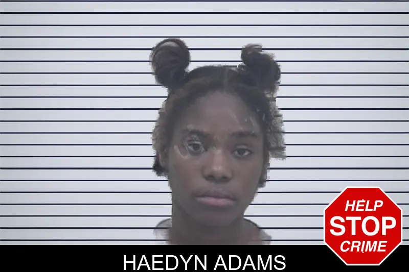 Haedyn Adams mugshot