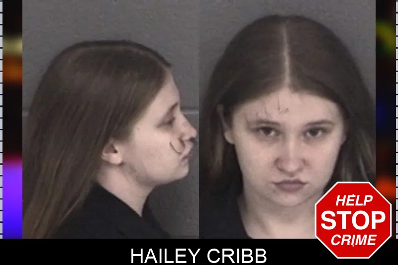 Hailey Cribb mugshot