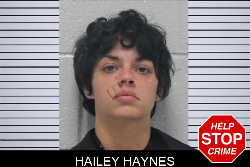 Hailey Haynes mugshot