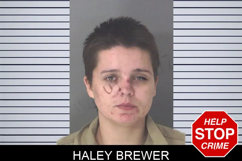Haley Brewer mugshot
