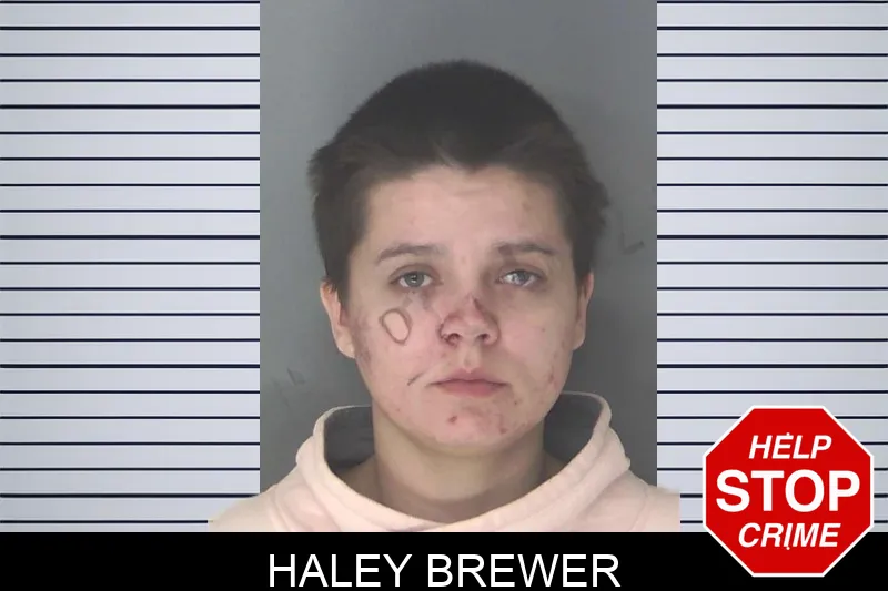 Haley Brewer mugshot – Douglas County , Georgia Haley Brewer mugshot