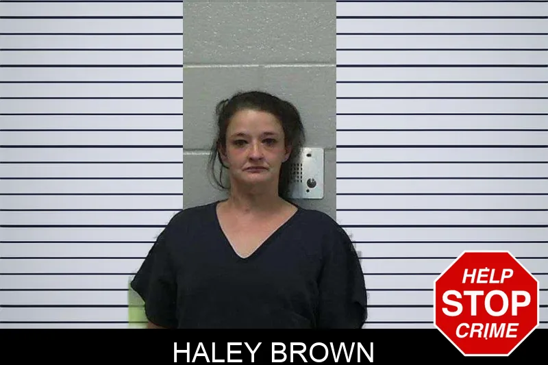 Haley Brown mugshot