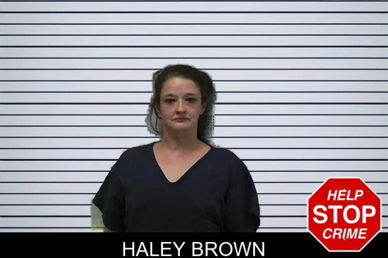 Haley Brown mugshot – Gilmer County , Georgia Haley Brown