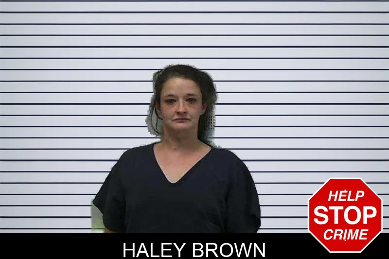 Haley Brown mugshot – Gilmer County , Georgia Haley Brown mugshot