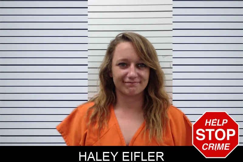 Haley Eifler mugshot