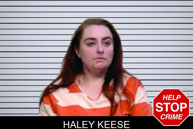 Haley Keese mugshot