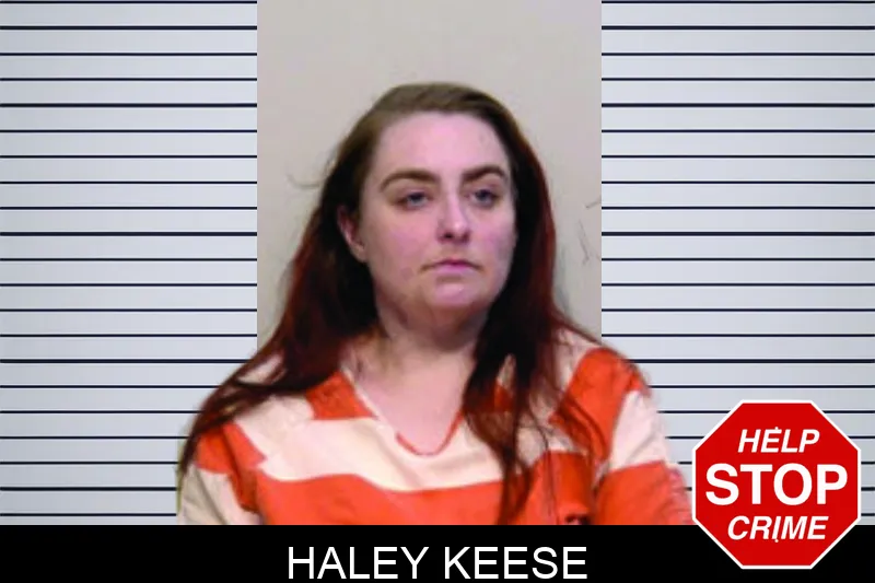Haley Keese mugshot – Bartow County , Georgia Haley Keese mugshot