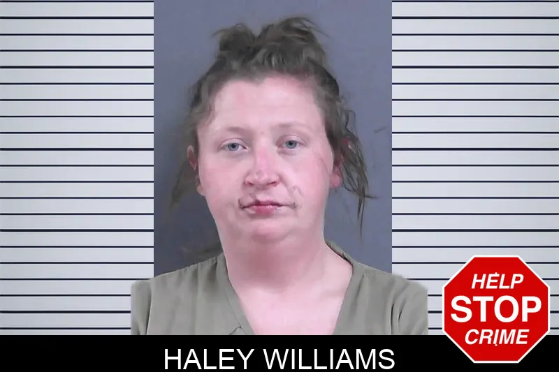 Haley Williams mugshot